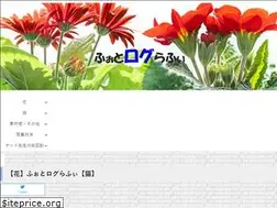 Sites similar to photolography.net