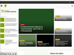 Sites similar to photopodushka.ru