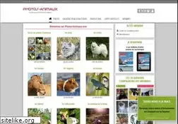 Sites similar to photos-animaux.com