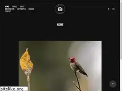 Sites similar to photosbyasheesh.com
