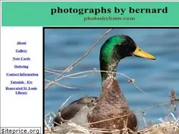Sites similar to photosbybmw.com
