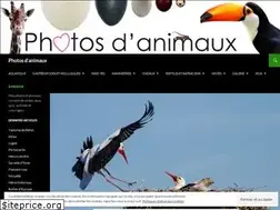 Sites similar to photosdanimaux.fr
