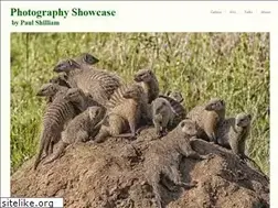 Sites similar to photosnapshot.co.uk