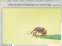 Sites similar to photosynthesis-in-nature.com