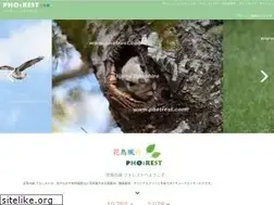 Sites similar to photrest.com