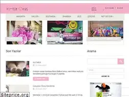 Sites similar to pi.web.tr