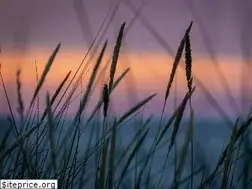Sites similar to pianoplays.com