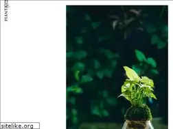 Sites similar to pianta-stanza.jp