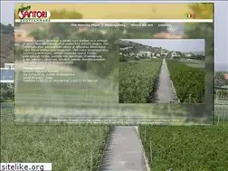 Sites similar to piantesantori.it
