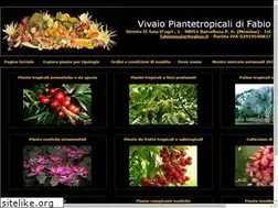 Sites similar to piantetropicali.com