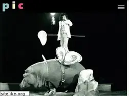 Sites similar to pic.ch