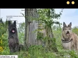 Sites similar to picardclub-belge.be