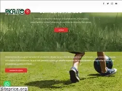 Sites similar to picasso.com.ar