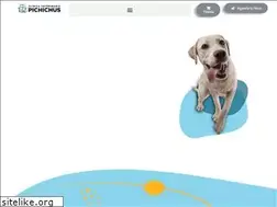 Sites similar to pichichus.cl