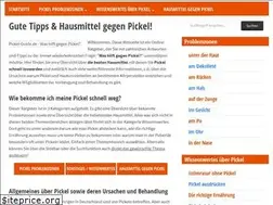 Sites similar to pickel-guide.de