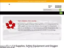 Sites similar to pickeringsafety.com