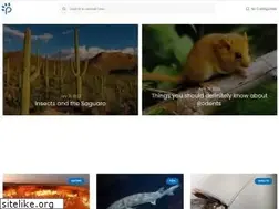 Sites similar to piclaya.com