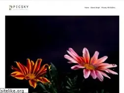 Sites similar to picssky.com