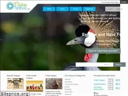 Sites similar to picturenative.com