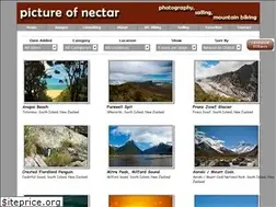 Sites similar to pictureofnectar.com