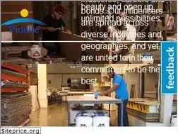 Sites similar to pidilite.com