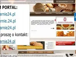 Sites similar to piekarnie24.pl