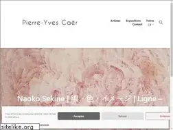 Sites similar to pierreyvescaer.com