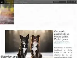 Sites similar to piesdokwadratu.pl