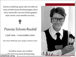 Sites similar to pietertjeschmitt.com