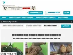 Sites similar to pigeon.bdfort.com