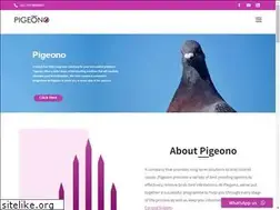 Sites similar to pigeono.com