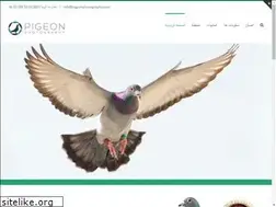 Sites similar to pigeonphotography.com