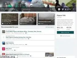 Sites similar to pigeons.biz