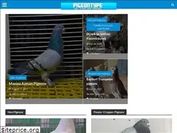 Sites similar to pigeontype.info