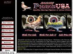 Sites similar to pigeonusa.com