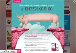 Sites similar to pigua.info