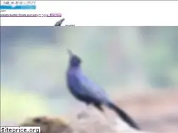 Sites similar to pijibalodge.com