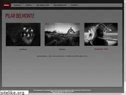 Sites similar to pilarphotos.com