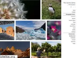 Sites similar to pilarsanchez.photos