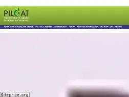 Sites similar to pildat.org