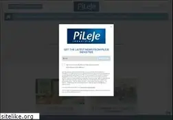 Sites similar to pileje-industrie.com