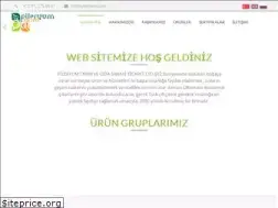Sites similar to pileryum.com