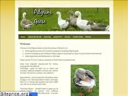 Sites similar to pilgrimgeese.org.uk