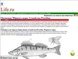 Sites similar to pilife.ru