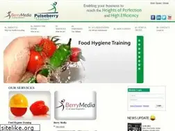 Sites similar to pillsburyconsulting.com