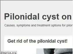 Sites similar to pilonidaldisease.blogspot.de