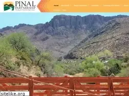 Sites similar to pinalpartnership.com