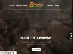 Sites similar to pinarbasikavurma.com.tr