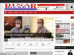 Sites similar to pinargazetesi.com.tr