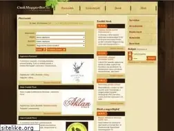 Sites similar to pincemester.hu